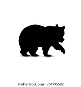 Silhouette of brown  bear.