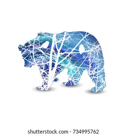 Silhouette of brown bear with nature background. Abstract white branches of trees without leaves. Night. Northern lights. Love couple of birds looking each  other. 