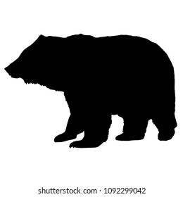 Silhouette brown bear on a white background