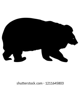 Silhouette brown bear on a white background