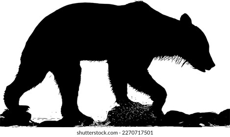 Silhouette of a brown bear on a white background