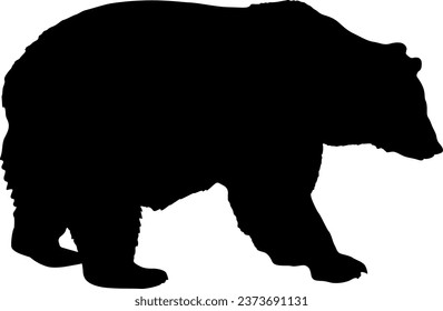 Silhouette brown bear on a white background.