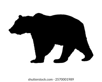 Silhouette of a brown bear. Realistic vector animal