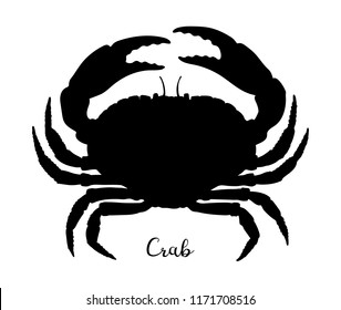 Silhouette of brown crab isolated on white background. Hand drawn vector illustration of cancer pagurus. Retro style.