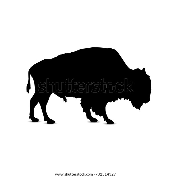 Silhouette Buffalo Stock Vector (Royalty Free) 732514327