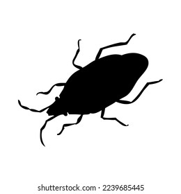 Silhouette of bug. Bug close-up detailed. Vector bug icon on white background.