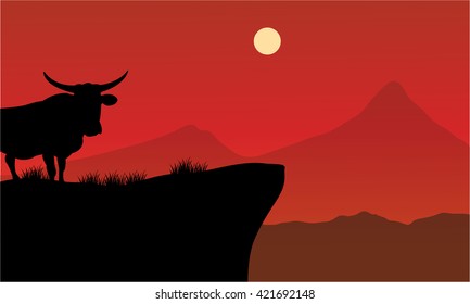 Silhouette of bull on the cliff with red backgrounds