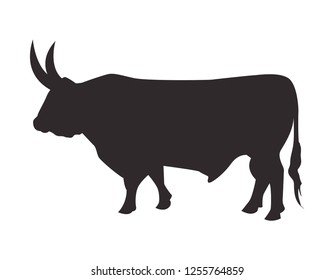 Silhouette bull on white background. Vector icon.