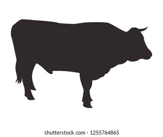 Silhouette bull on white background. Vector icon.