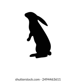 Silhouette of bunny on white background | Rabbit isolated on white background