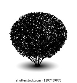 silhouette bush with leaves and shadow on white background