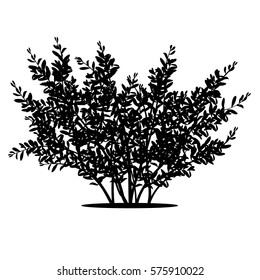 silhouette bush with leaves and shadow on white background