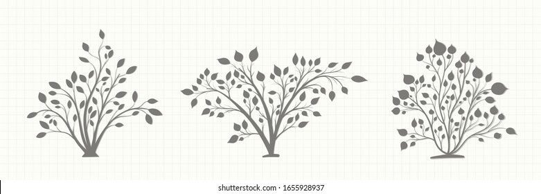 Silhouette of a bush plant in a gray tone on a notebook page in vintage style on a light background