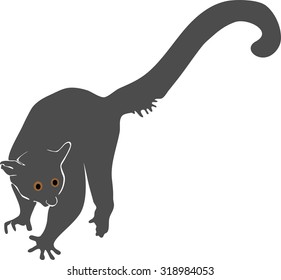 silhouette of bushbaby