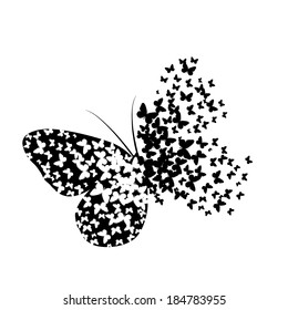 Silhouette of butterflies butterfly. Vector 