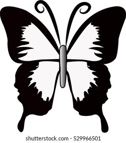 Silhouette of a butterfly