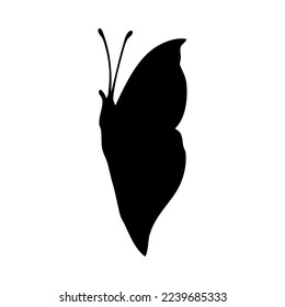 Silhouette of butterfly. Butterfly close-up detailed. Vector butterfly icon on white background.