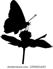 silhouette of a butterfly with flower