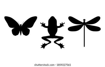 Silhouette de una mariposa, rana, libélula. Iconos vectoriales negros sobre fondo blanco.