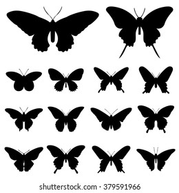 Silhouette butterfly illustration vector