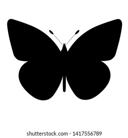 silhouette of butterfly, insect on white background