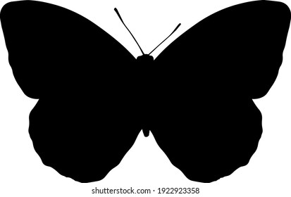  silhouette of a butterfly isolated on white background