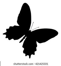 Silhouette of butterfly, isolated on white, vector illustration of butterfly