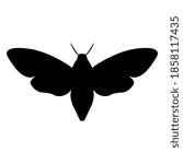 Silhouette of butterfly or moth. African death