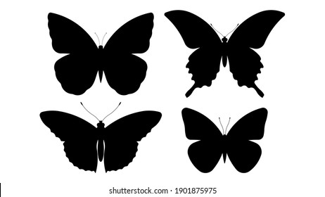 Silhouette of butterfly. Set of butterflies of different shapes. Monochrome vector illustration on white background.
