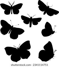 Silhouette of butterfly. Set of butterflies of different shapes, vector illustration.
