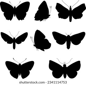 Silhouette of butterfly. Set of butterflies of different shapes, vector illustration.