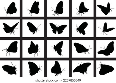 Diseño del conjunto de vectores de mariposa de silueta