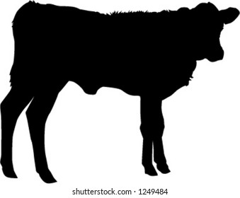 Silhouette Of Calf