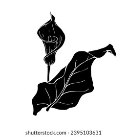 Silhouette de flor de calla.Elemento botánico decorativo.Gráficos vectoriales.