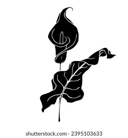Silhouette de flor de calla.Elemento botánico decorativo.Gráficos vectoriales.
