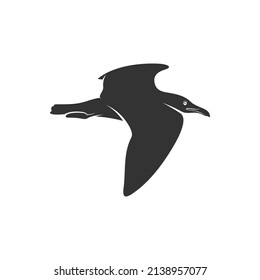 Silhouette Camar bird icon vector illustration design