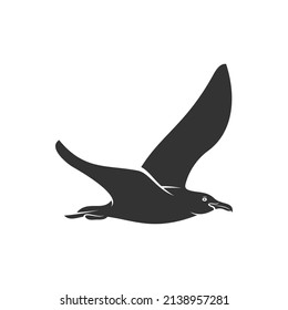 Silhouette Camar bird icon vector illustration design