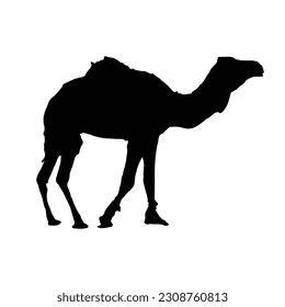 A silhouette of a camel 