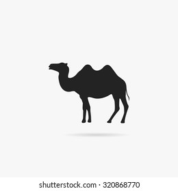 Silhouette camel.