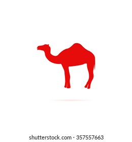 Silhouette camel.