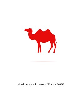 Silhouette camel.