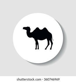 Silhouette camel.