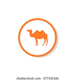 Silhouette camel.