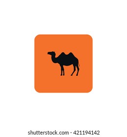 Silhouette camel.