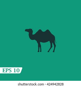 Silhouette camel.