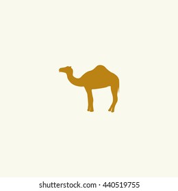 Silhouette camel.
