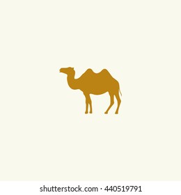Silhouette camel.