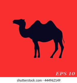 Silhouette camel.