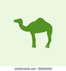 Silhouette camel.