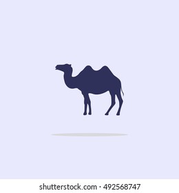 Silhouette camel.